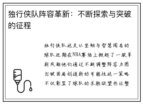 独行侠队阵容革新：不断探索与突破的征程